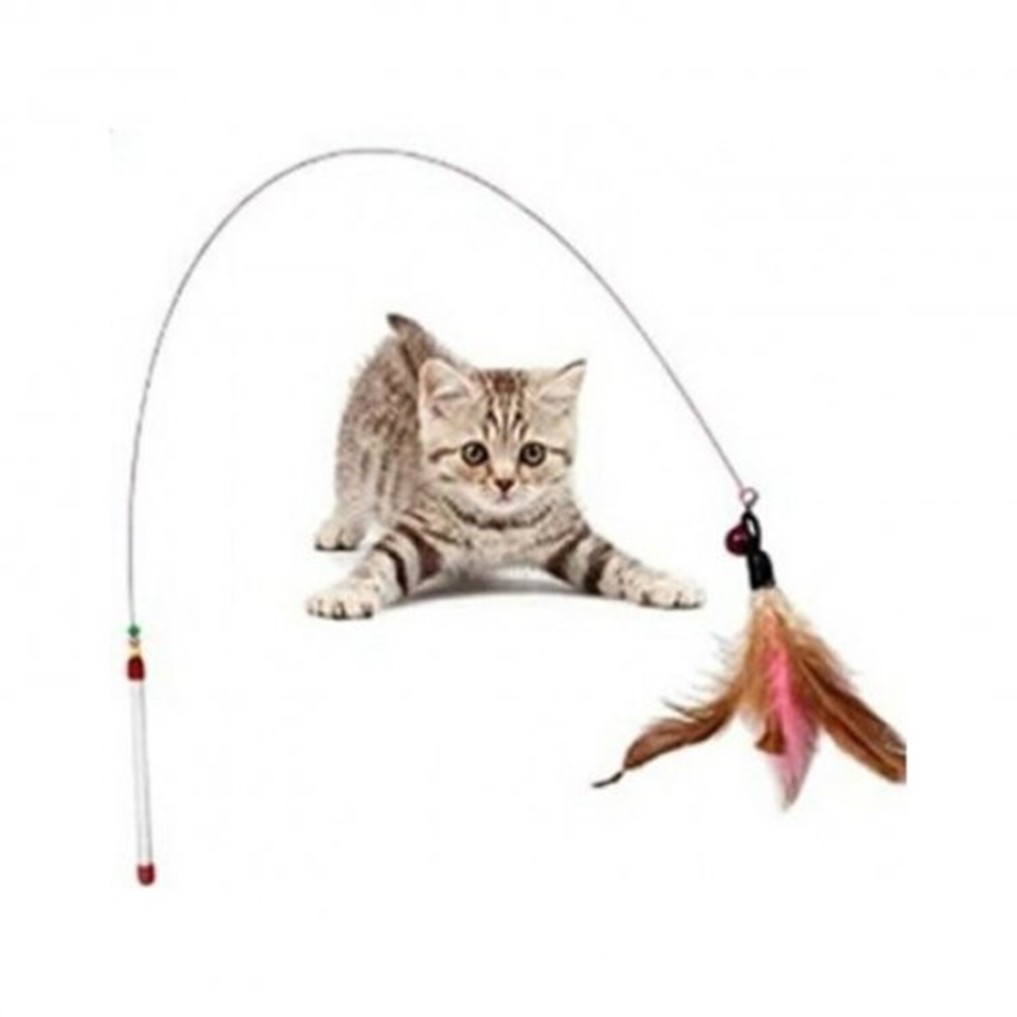 TÜYLÜ KEDİ OLTASI